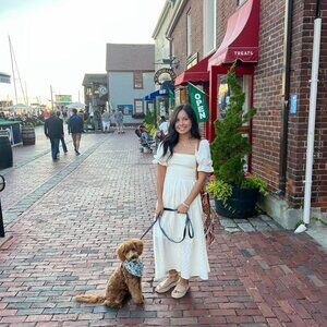 Blakesley Puff Sleeve Midi Dress